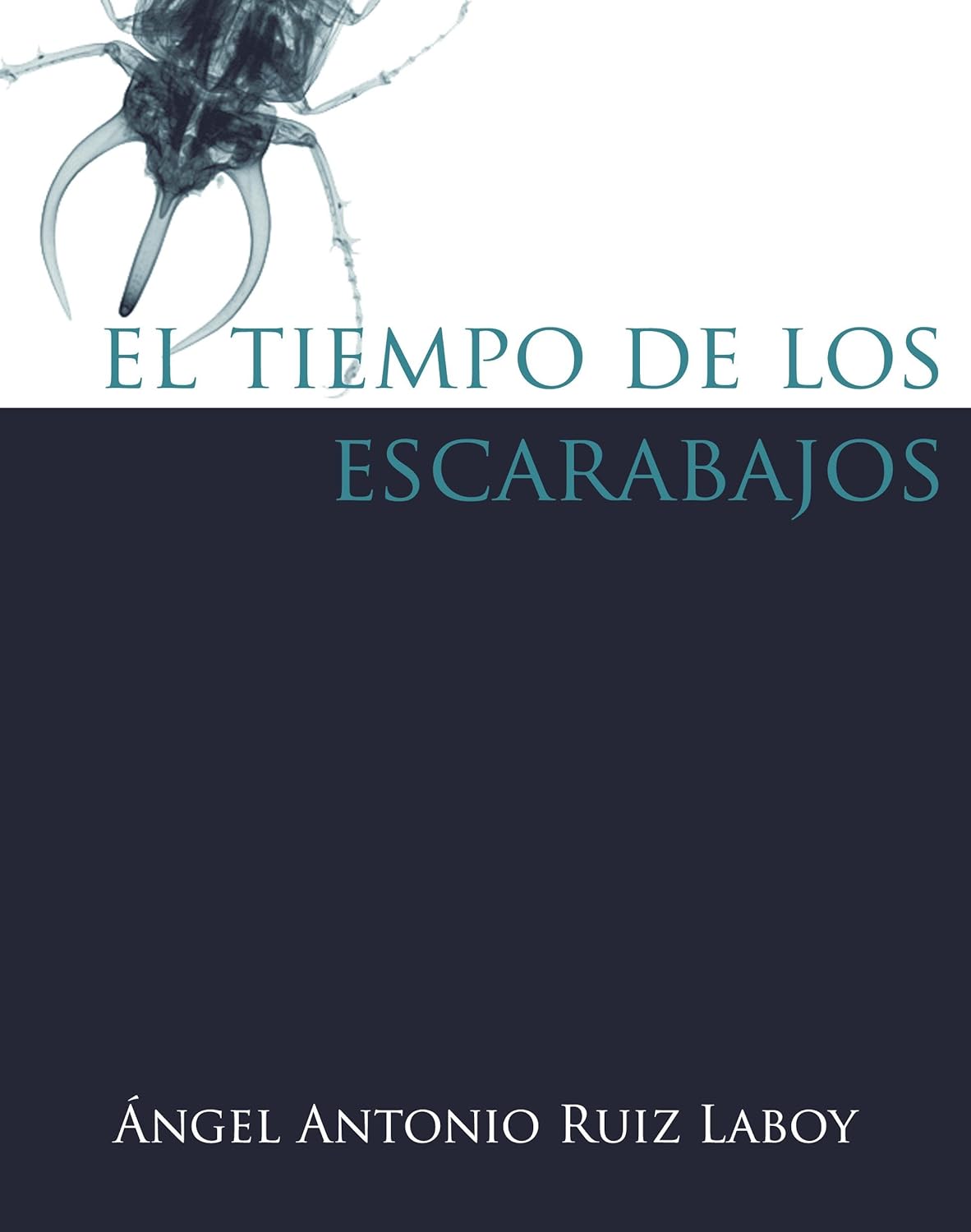 El Tiempo de los Escarabajos