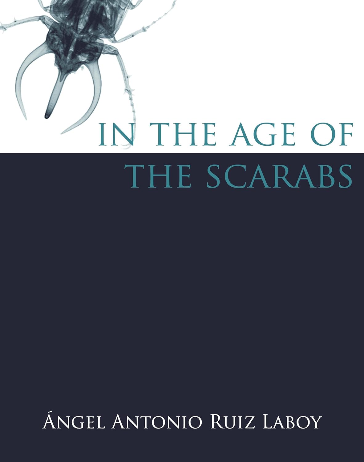 In the Age of the Scarabs